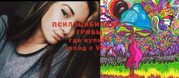 2c-b Костерёво