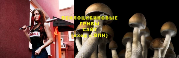 2c-b Костерёво