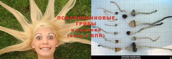 метадон Кулебаки