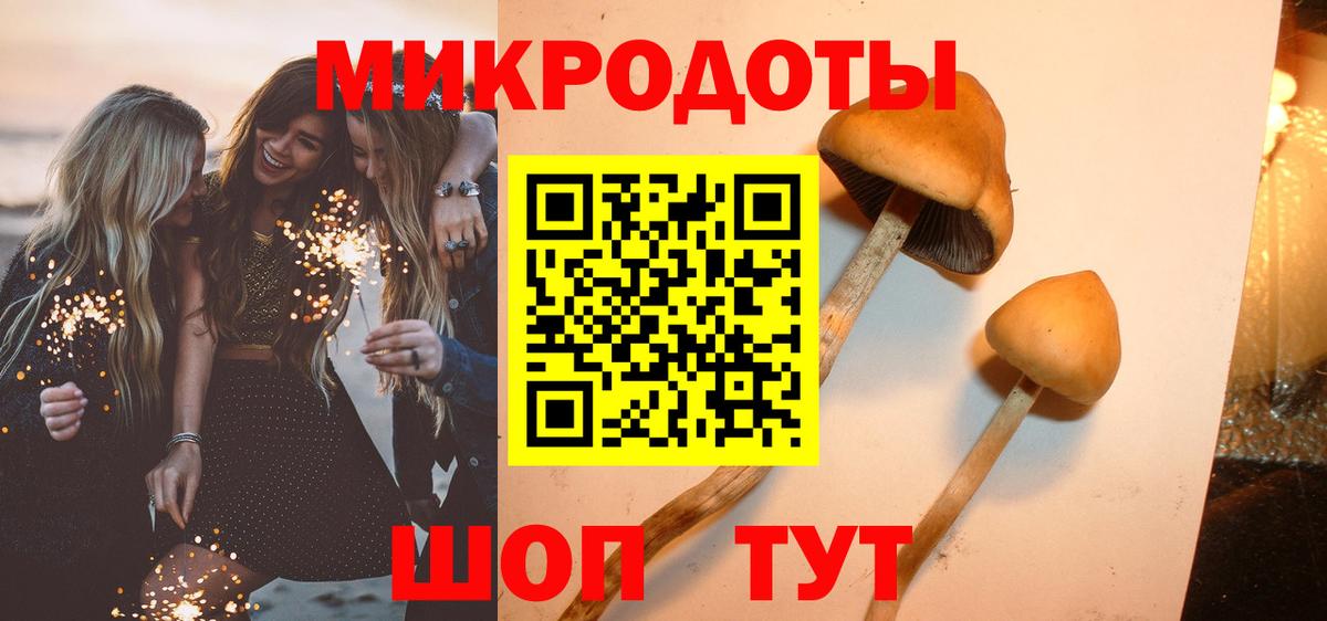 Галлюциногенные грибы прущие грибы  хочу   Кондопога  Вход с VPN 