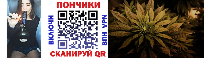 купить закладку  Кондопога  Конопля сатива 